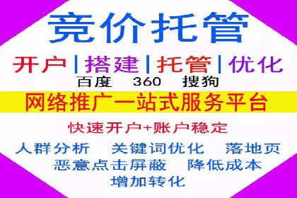 谷歌竞价案例：快速提升品牌影响力的广告策略